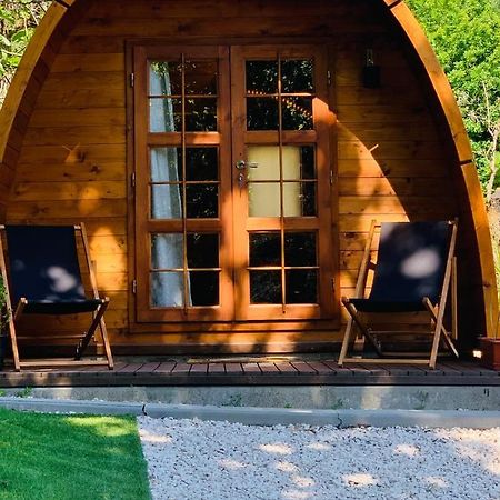 Gallas Pod House Vouzela Eksteriør bilde
