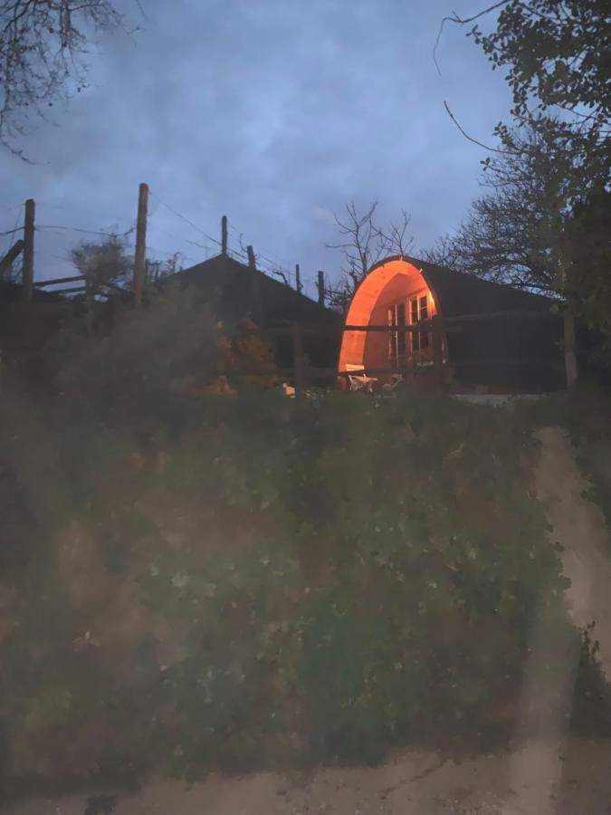 Gallas Pod House Vouzela Eksteriør bilde
