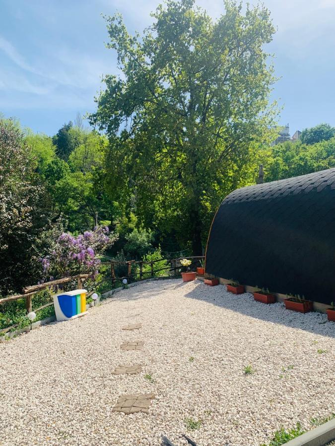 Gallas Pod House Vouzela Eksteriør bilde