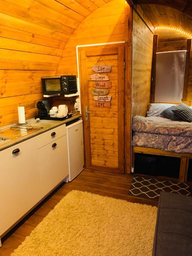 Gallas Pod House Vouzela Eksteriør bilde